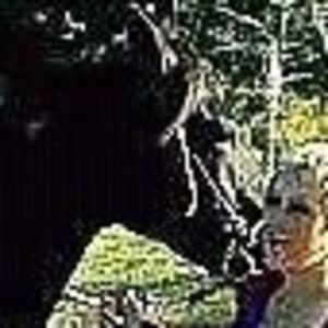 Meet your Posher, Sandi